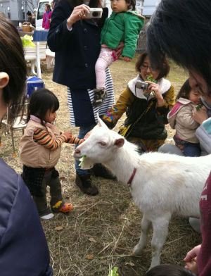 IMG_6325_copy.jpg