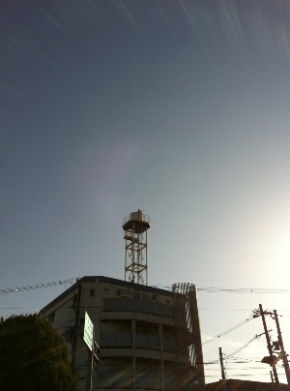 IMG_6990_copy.jpg