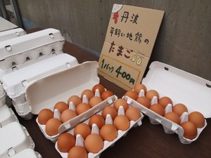 P5201494.jpg