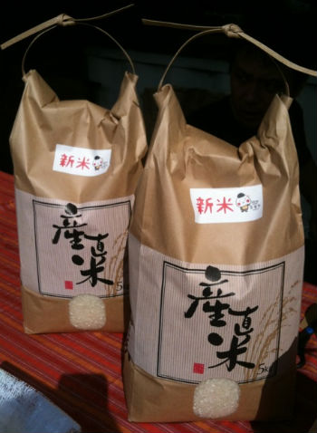 Picture 5_copy.jpg